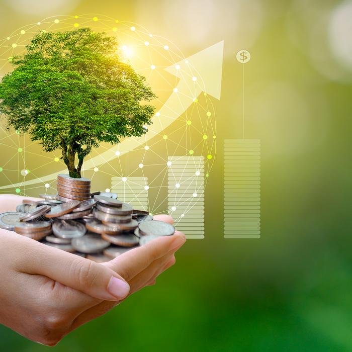Épargne et croissance : des piles de pièces surmontées d'arbres